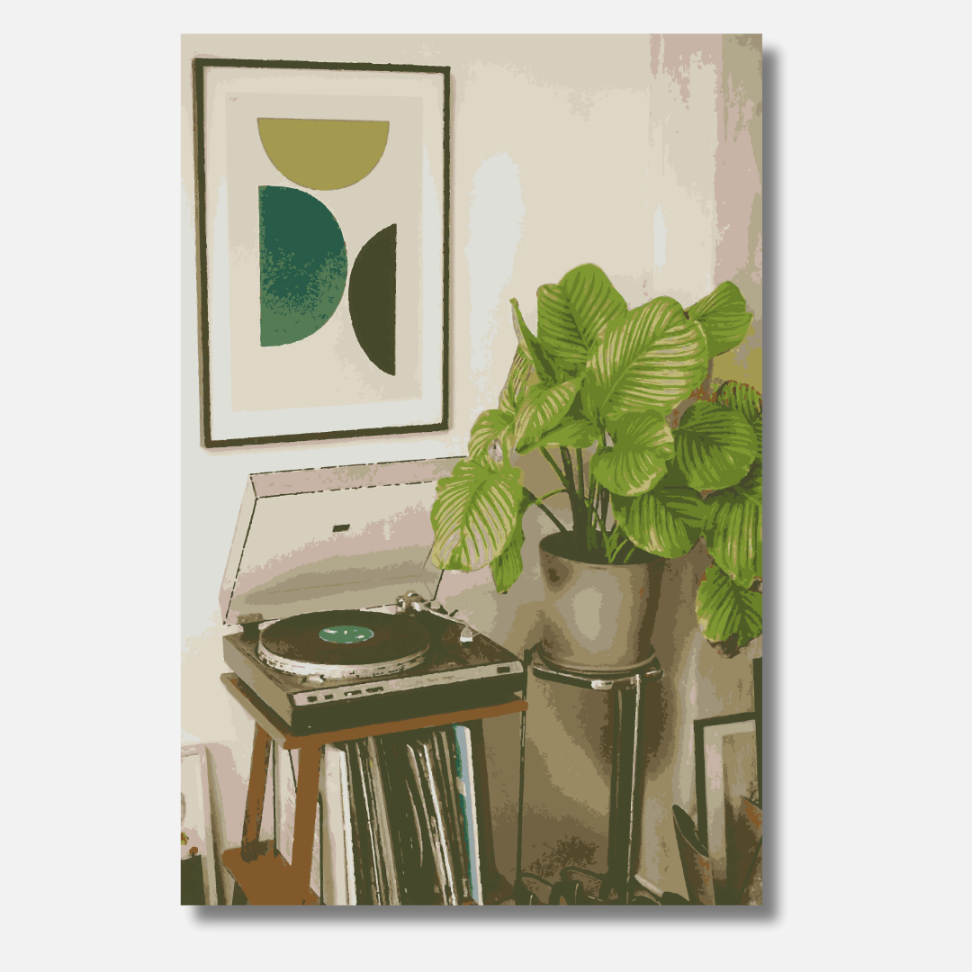 Vinyl Vibes - Malen nach Zahlen