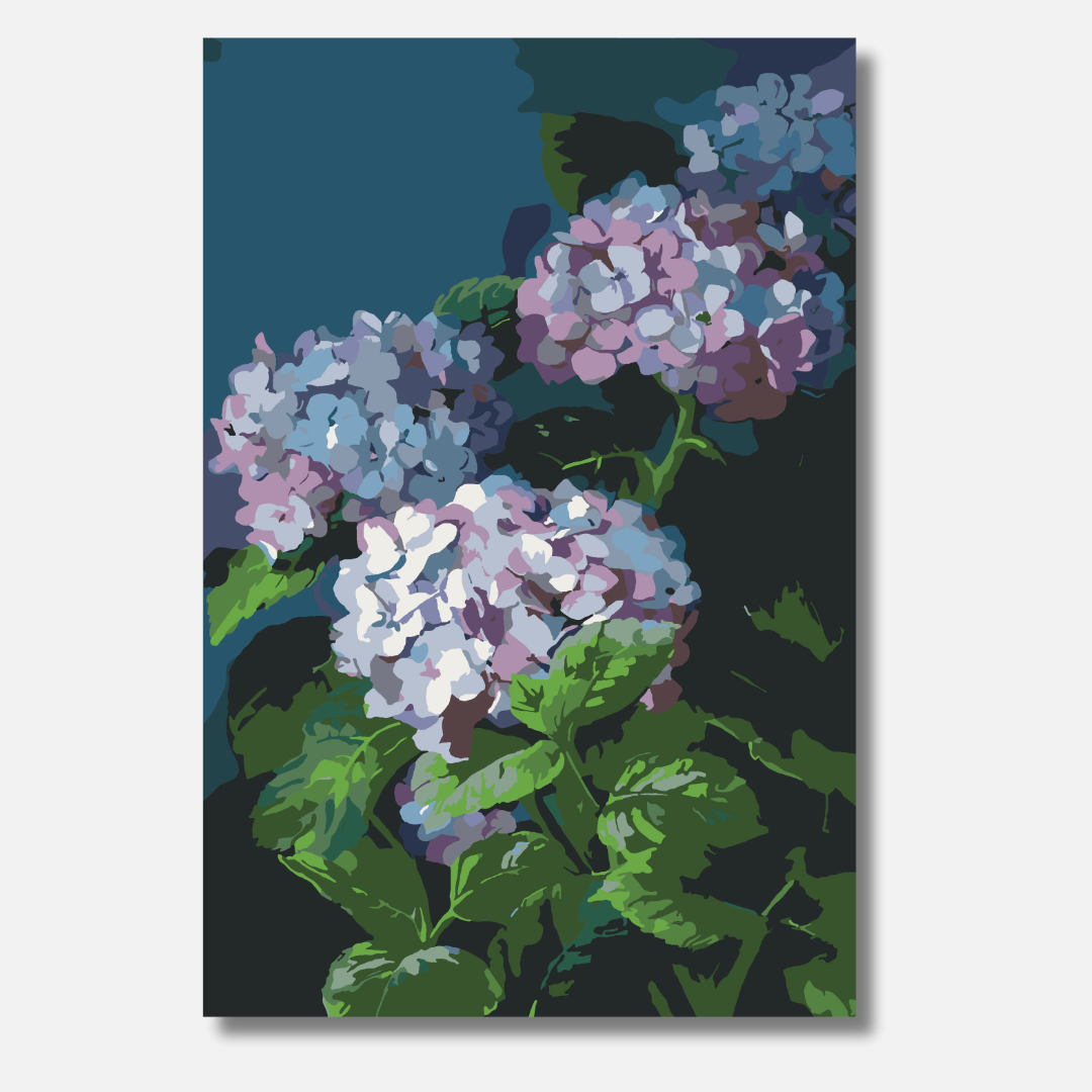Violette Hortensien - Malen nach Zahlen