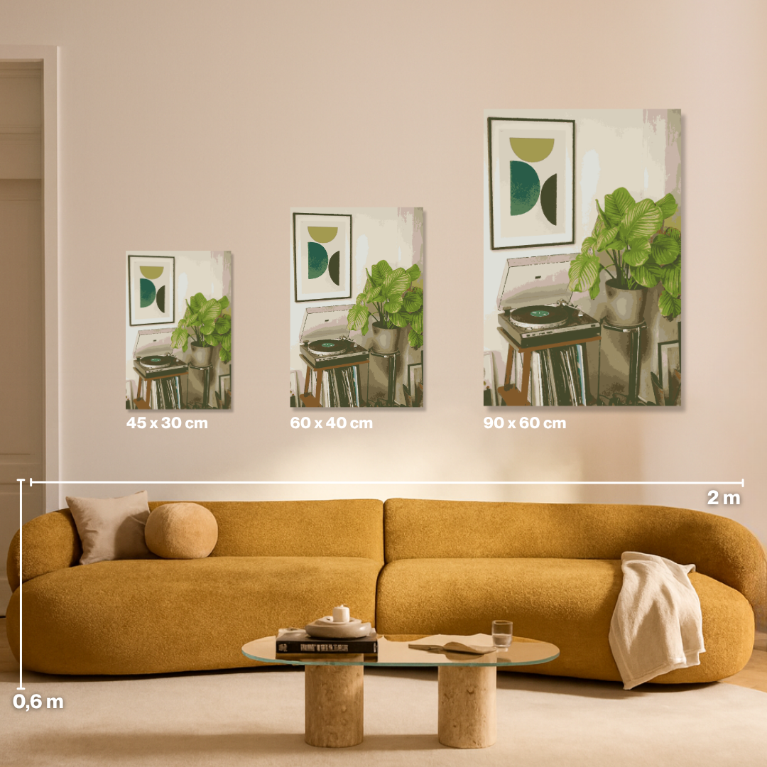 Vinyl Vibes - Malen nach Zahlen