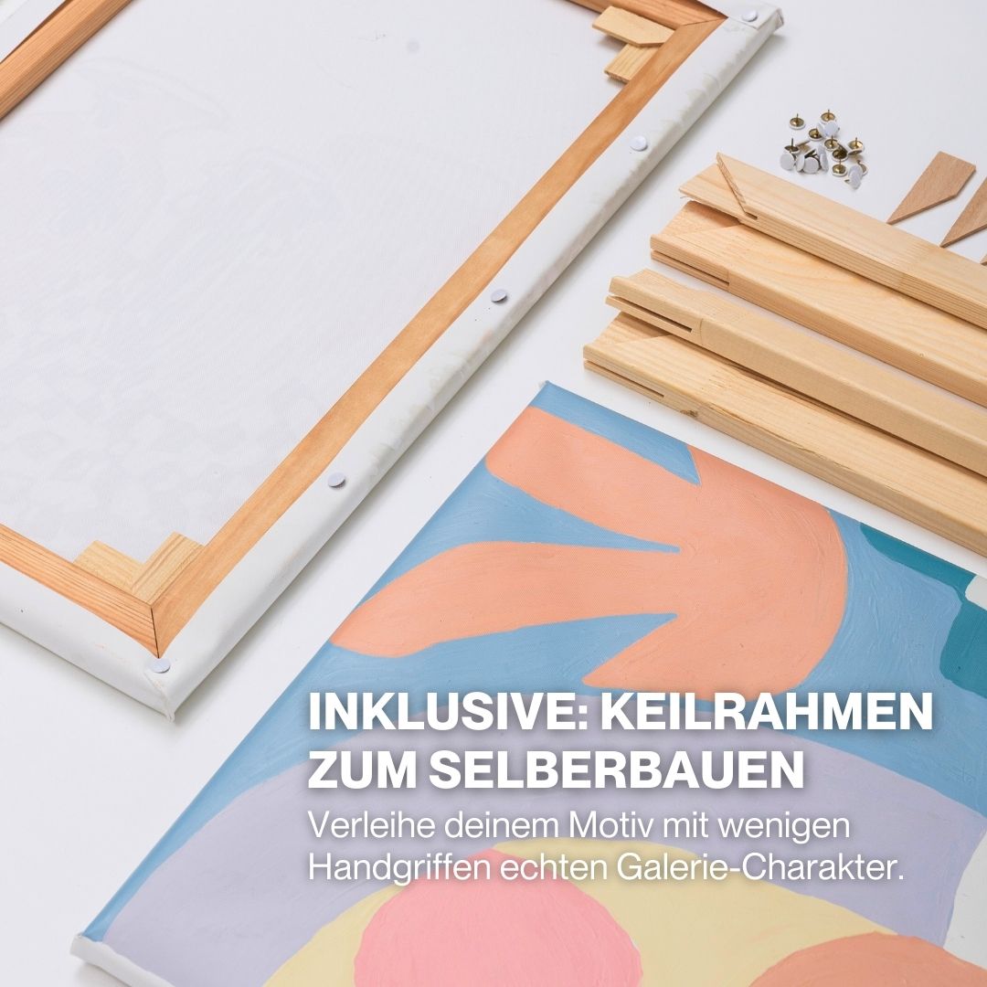 Faces & Matisse 2-er Bundle - Malen nach Zahlen mit Keilrahmen