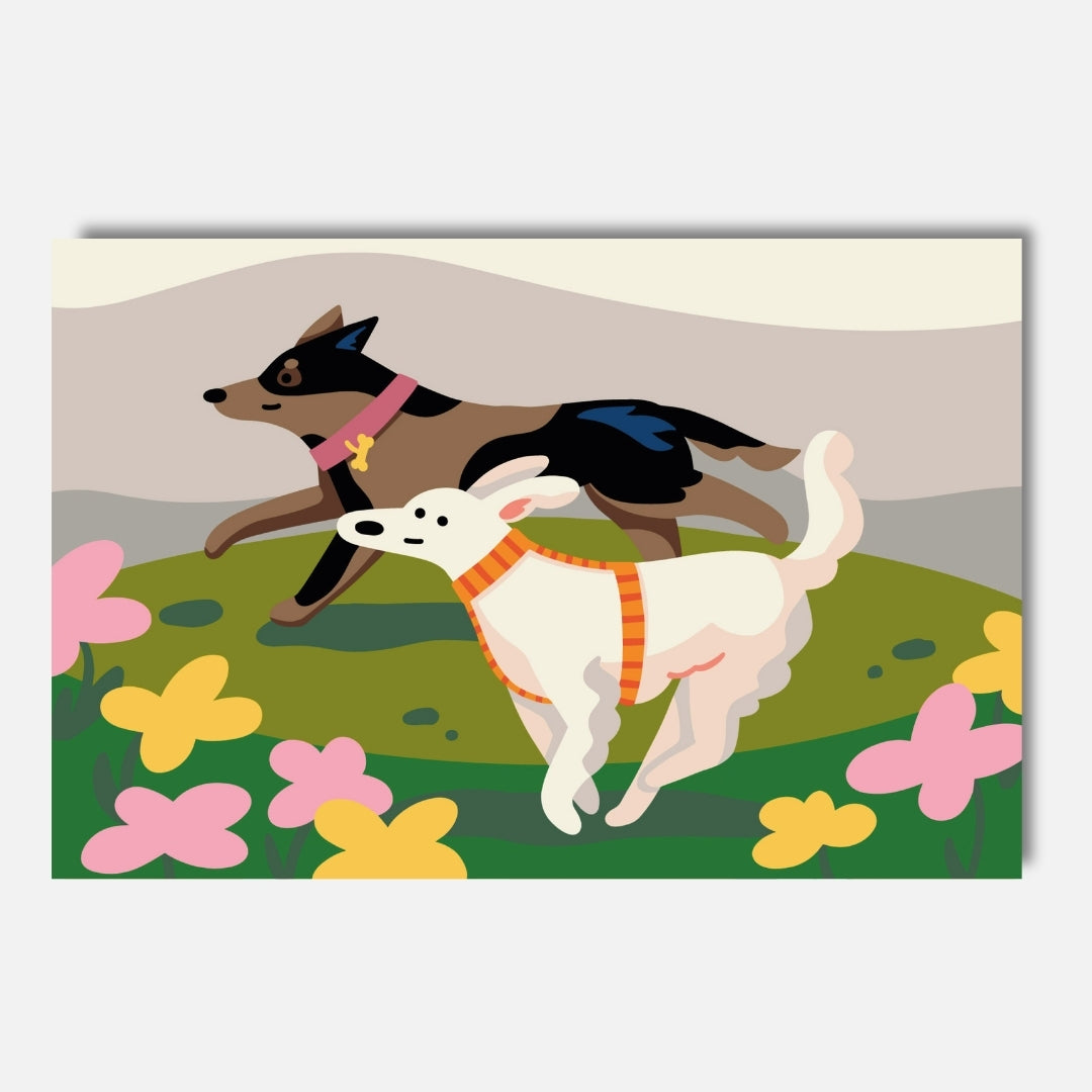 Malen Nach Zahlen für Erwachsene-Happy Zoomies: Zwei Hunde rennen gemeinsam über eine Blumenwiese/Hochwertiges DIY Malset von Habitus