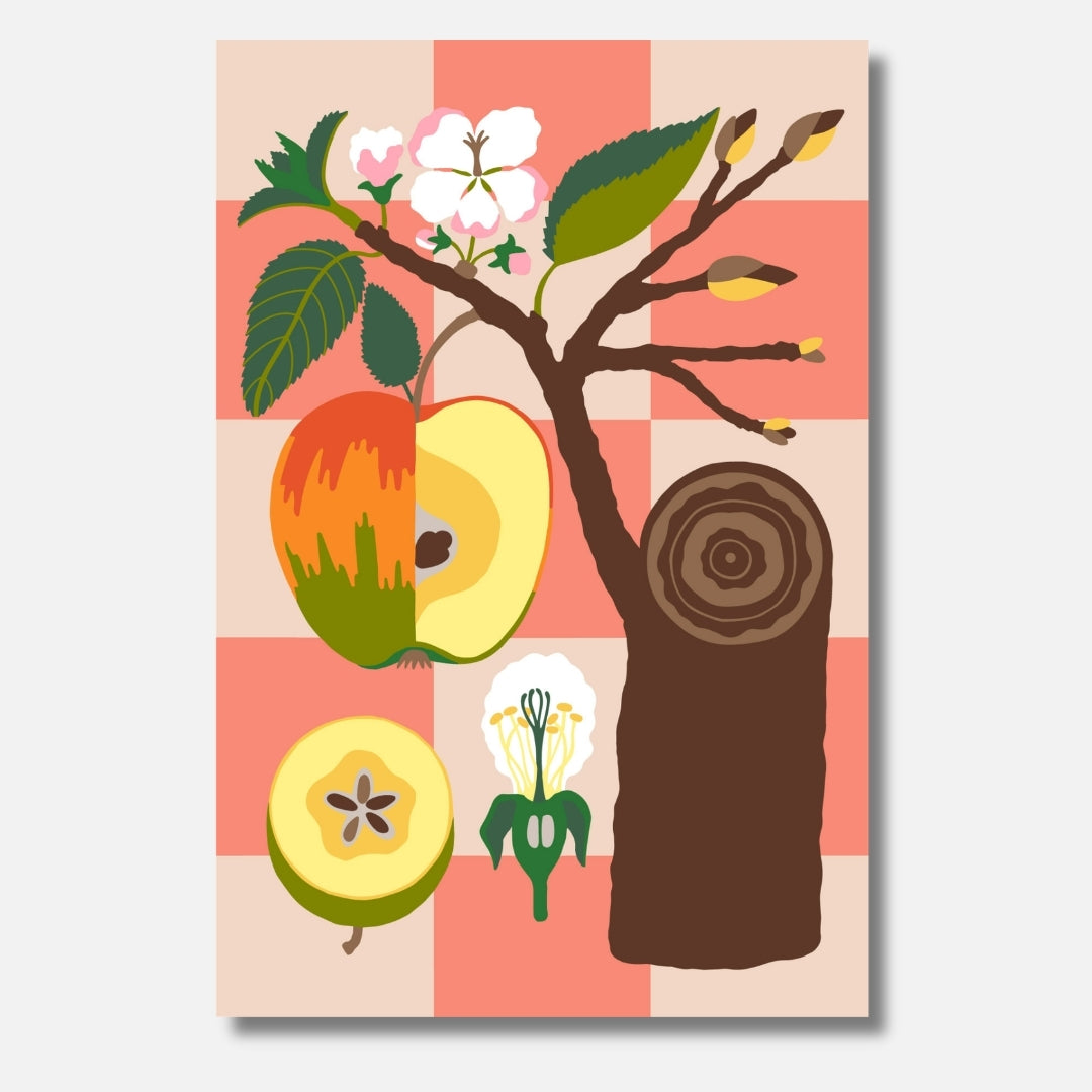 Malen nach Zahlen für Erwachsene-Malus Domestica: Apfel und Blüten an einem Baum/DIY Malset von habitus