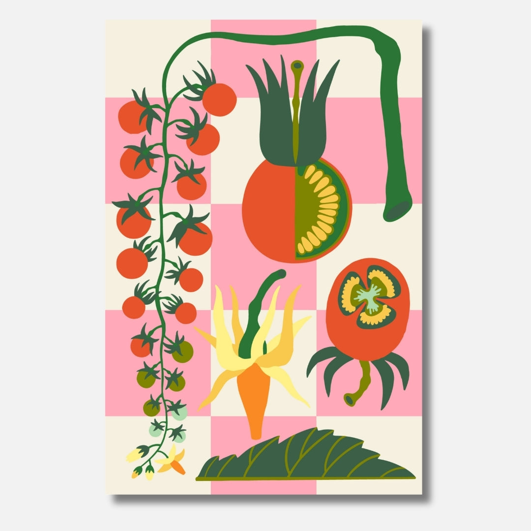 Malen für Erwachsene-Solanum lycopersicum: Tomaten auf einem karierten Hintergrund/DIY Malset von Habitus